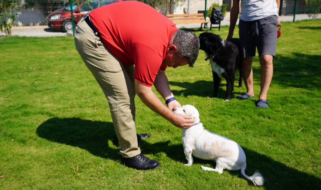 Çeşme&#039;ye 5 &#039;Pati Park&#039; Müjdesi