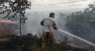 İzmir Kiraz'da Yangın !