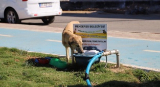 Menderes Parklarına Can Dostlar İçin Su Odakları