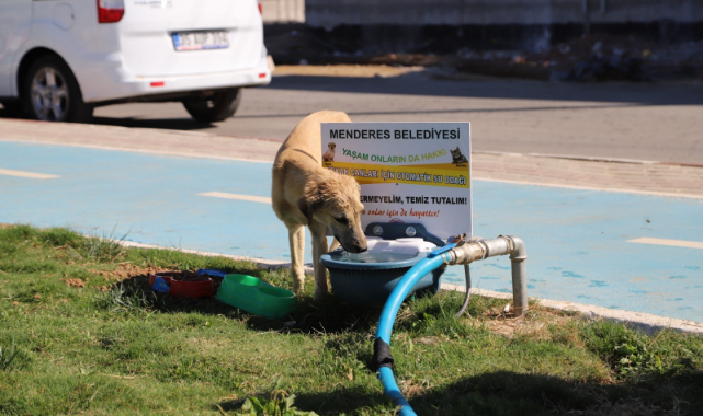 Menderes Parklarına Can Dostlar İçin Su Odakları