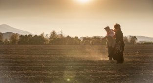 “Başka Bir Tarım Mümkün” Vizyonuyla Atalık Karakılçık Buğdayı Toprakla Buluştu
