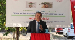 Buca'da Salep Üretilmeye Başlanıyor !