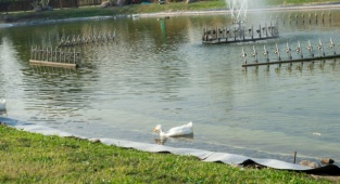 Büyükşehir'den "Yağmur Suyu Hasadı"