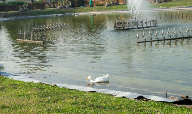 Büyükşehir&#039;den &quot;Yağmur Suyu Hasadı&quot;