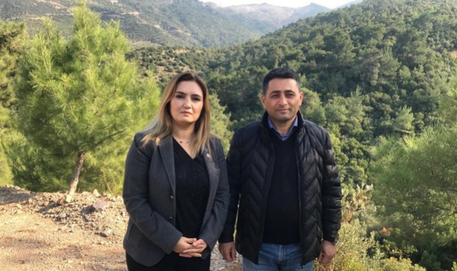 CHP İzmir Milletvekili Kılıç&#039;tan &quot;Ağaç Katliamı&quot; Tepkisi