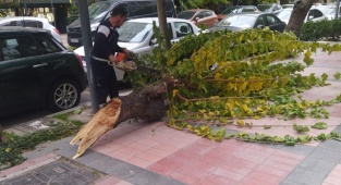 İzmir'den Fırtına Bilançosu
