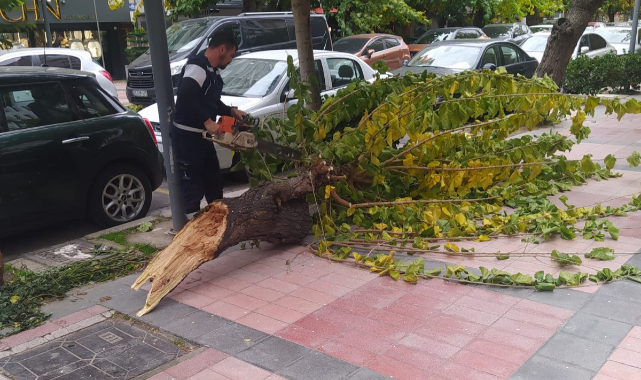 İzmir&#039;den Fırtına Bilançosu