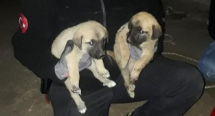 İzmir İtfaiyesi Hayat Kurtarmaya Devam Ediyor