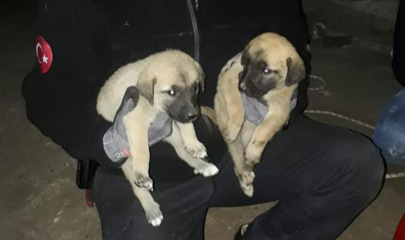 İzmir İtfaiyesi Hayat Kurtarmaya Devam Ediyor