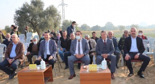 Torbalı'da Tatlı Patates Hasadı