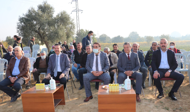 Torbalı&#039;da Tatlı Patates Hasadı