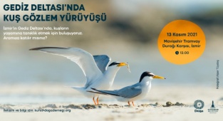 UNESCO Adayı Gediz Deltası'nda Kuş Gözlem Yürüyüşü