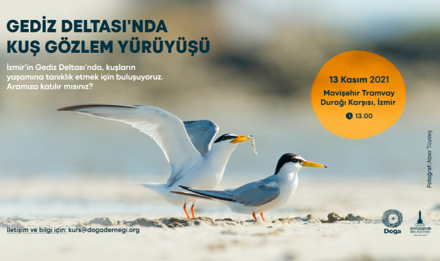 UNESCO Adayı Gediz Deltası&#039;nda Kuş Gözlem Yürüyüşü