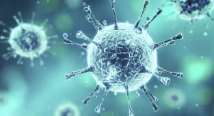 Bakan Koca: 6 Omicron Vakasının 5’i İzmir’de