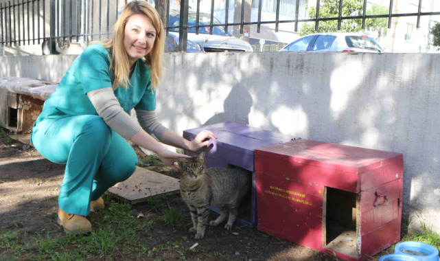 Başkan Sandal’dan “Bakım Merkezi” Müjdesi