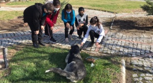 Bergamalı Çocuklar Sokak Hayvanları İçin Proje Üretti