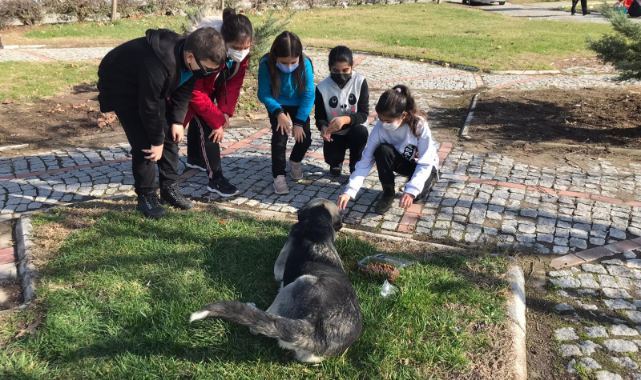 Bergamalı Çocuklar Sokak Hayvanları İçin Proje Üretti