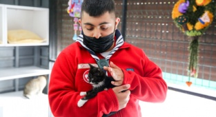 Buca’da Engelli Kediler Yeni Yuvalarını Bekliyor