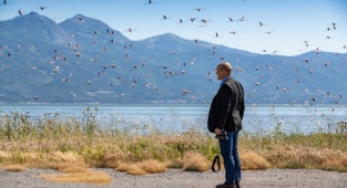 İzmirliler UNESCO Adayı Gediz Deltası’nda Buluşuyor