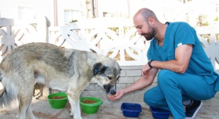 Menderes Belediyesi Sokak Hayvanlarını Unutmadı