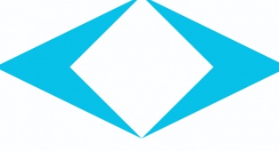 Togg Yeni Logosunu Seçti