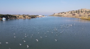 Aliağa Belediyesi’nden Okurlarına Yeni Yıl Hediyesi