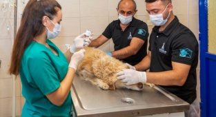 Bu İş Birliği Türkiye’ye Örnek Olacak