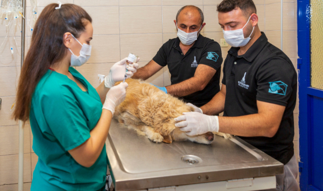 Bu İş Birliği Türkiye’ye Örnek Olacak