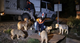 Buca'da Can Dostlarına Gece Gündüz Mama Desteği