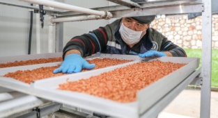 Bucalı Çiftçinin Yüzü Güldü