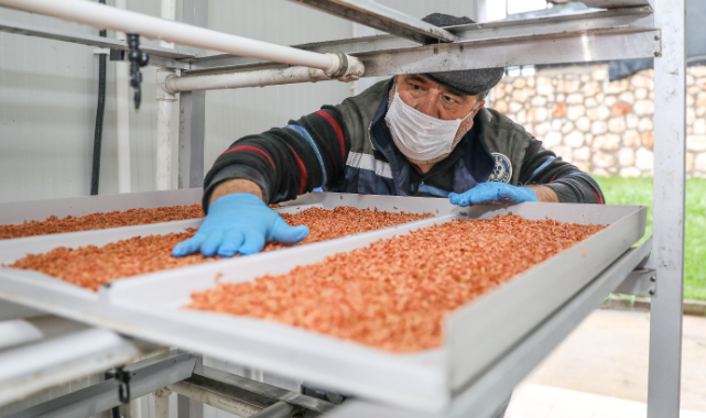 Bucalı Çiftçinin Yüzü Güldü