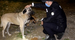 Çeşme Emniyeti’nden Alkışlanacak Hareket!