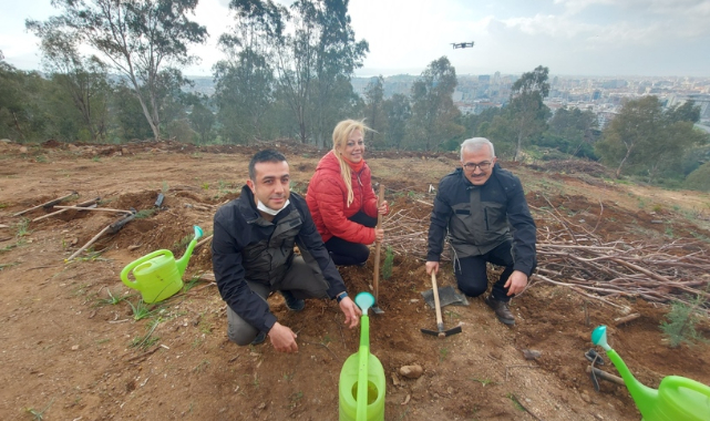 Gazetecilerden Yanan Alanlara 1000 Fidan 