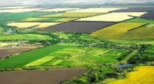 İzmir’de 105 Bin Metrekare Tarım Alanı Daha Yapılaşma İçin Feda Edildi