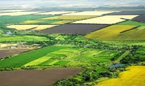 İzmir’de 105 Bin Metrekare Tarım Alanı Daha Yapılaşma İçin Feda Edildi