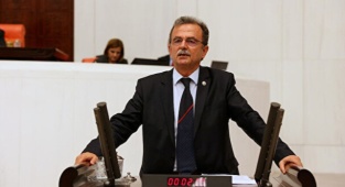 Kedi ve Köpek Mamalarının Yüzde 1'e Düşürülmesi İçin Kanun Teklifi Verildi