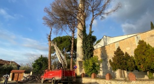 Kuruyan Ağaçlar, İhtiyaç Sahiplerine Yakacak Oluyor 