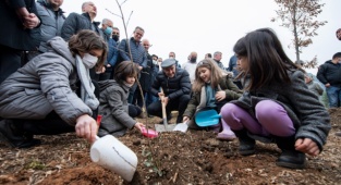 Soyer: “Her Bir Ağaca Dair Sorumluluğumuz Var”