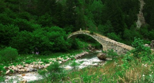 TEMA Vakfı 2021’in Çevre Olaylarını Değerlendirdi