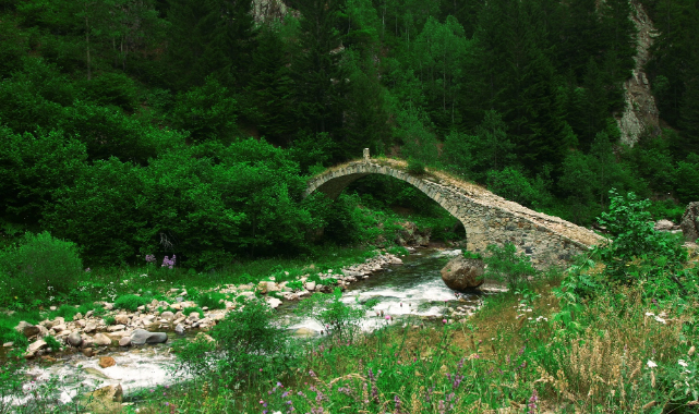 TEMA Vakfı 2021’in Çevre Olaylarını Değerlendirdi