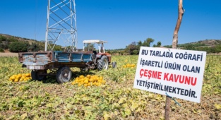 Üretici Kooperatiflerinden 164 Milyon Lirayı Aşan Alım