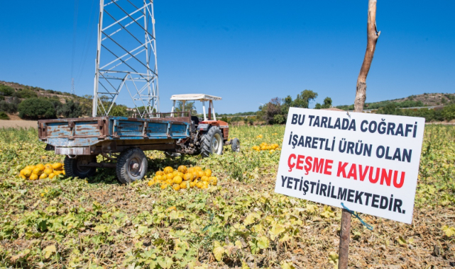 Üretici Kooperatiflerinden 164 Milyon Lirayı Aşan Alım