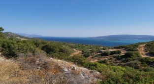 Urla’da Arkeolojik Sit Ve Orman Alanı Olan 70 Hektarlık Bölgede Taş ocağı İçin ÇED Süreci İzni