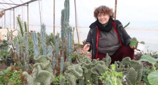 Can Dostları “Çiçek”lerle Besliyor!