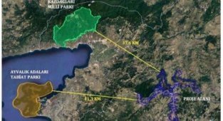 İzmir’de En Büyük Tarım, Orman ve Mera Alanı Talanı: 12 Bin 500 Hektarlık Bölge Santral İçin Feda Ediliyor