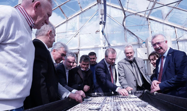 Kooperatifin gücü: Urla Bademler, Hollanda’ya Çiçek İhraç Edilecek