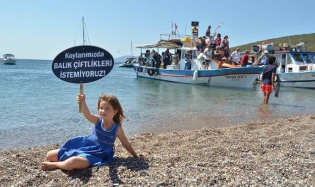 O Proje Halkın Kantarında