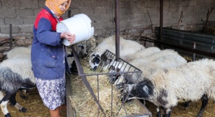 Buca Belediyesi’nden Çiftçiye Arpa Desteği