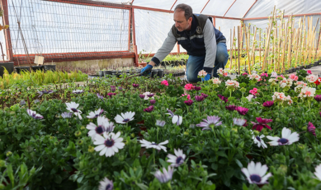 Buca Kendi Çiçeğini Yetiştiriyor