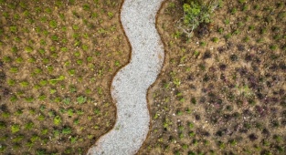 “Doğa Şehirde” Projesi Mavişehir Balıkçı Barınağı’ndan Başladı